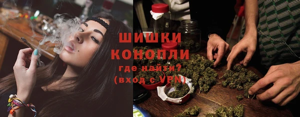 PSILOCYBIN Беломорск